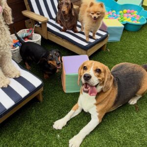 631746025_17949827538098558_6496193880648152965_n