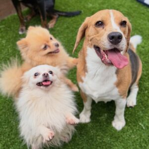 631940268_17949827226098558_6891915640819084578_n