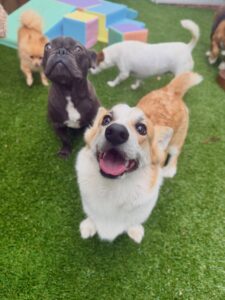 632000177_17949832398098558_703023612888438129_n