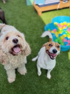 632026302_17949832455098558_3201414854450426116_n