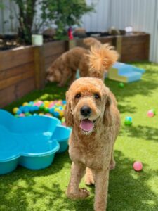 632073040_17950490193098558_4824136196433596762_n