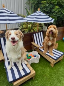 632086939_17949832389098558_2131079820009340456_n