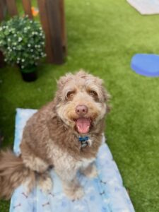 632092380_17950490220098558_2620056107916584628_n