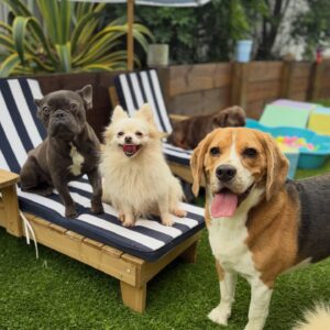 632138289_17949827235098558_8362793171750218072_n