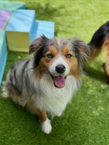 632322092_17950490211098558_5960645306242947293_n