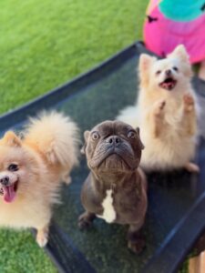 632426580_17950490271098558_4972262160524542854_n