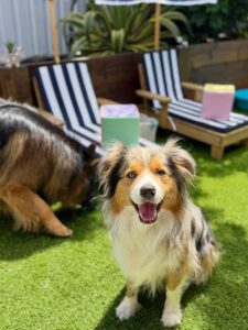 632561091_17950490172098558_8653995420351812868_n