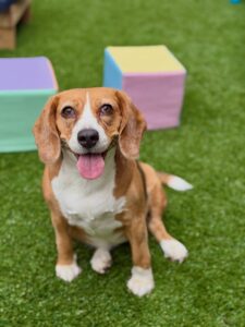 634329030_17949832500098558_5440409511225862107_n