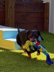 635009092_17950490262098558_8141280577285360561_n