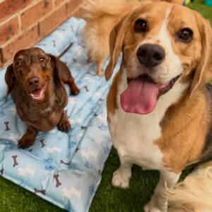 635037689_17949827556098558_3598497059195783926_n