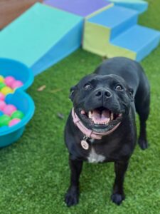 636520660_17949832527098558_2904437428816921353_n