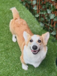 636742702_17949832473098558_5868647090694492868_n