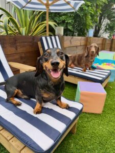 636920263_17949832368098558_8069254617124681998_n