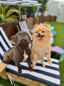 636976343_17949832380098558_262341303525934804_n