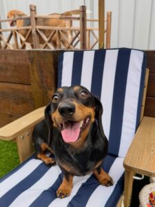 637092292_17949832416098558_5450813122474419182_n