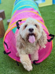 637214284_17949832491098558_9167687559967055185_n