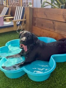 637713645_17950490163098558_7308635087561809315_n