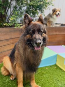 637720516_17950490184098558_7484017941657552003_n