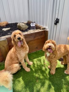 637744404_17950490202098558_5472747089975806943_n