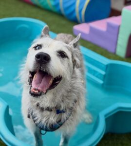 640648029_17952942954098558_6592041129433929580_n