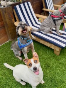 641156523_17952940485098558_4486090155597617541_n