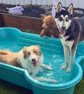 641244611_17952942990098558_5879774519643705031_n