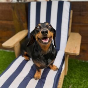 641246027_17953104480098558_3715334645627438720_n