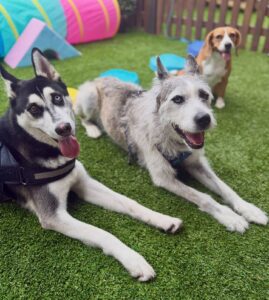 641347664_17952942780098558_1744419807992182647_n