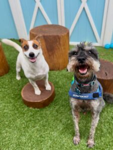 641560105_17952940497098558_7611306077402025596_n