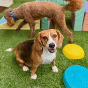 641684380_17953104432098558_9071107544305734466_n