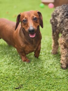 641765869_17952940515098558_3501151075425763364_n