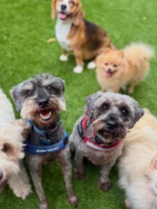 642151352_17952940506098558_6371100344611123621_n