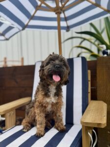 642157059_17952940476098558_2898928141835055060_n