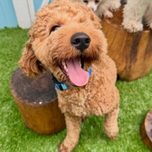 642247225_17953104084098558_4056195984290161507_n