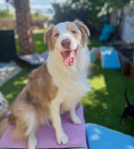 642266891_17952942762098558_2623482773885069138_n