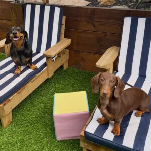 642338822_17953104093098558_3473034059915414850_n