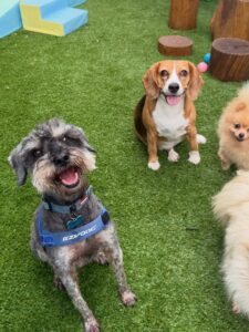 642338971_17952940527098558_2832720404532104952_n