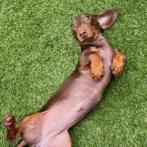 642371402_17953104132098558_1433944076525444031_n