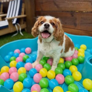 642378502_17953104072098558_8693573503462389809_n