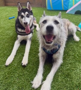 642511800_17952942684098558_1144260638149453047_n