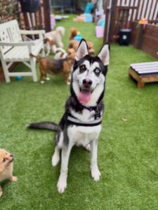 642532338_17952942672098558_2596816775338344020_n