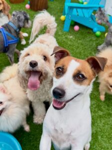 642774280_17952940194098558_4405472274915288097_n