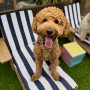 642951304_17953104144098558_4275602375783129299_n