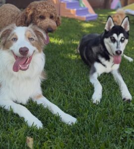 643540935_17952942942098558_6798310421702148865_n