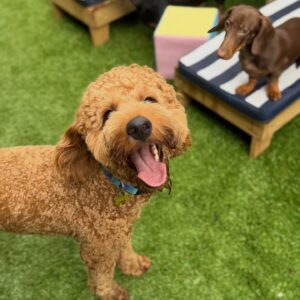 643702795_17953104471098558_6849035706271702420_n