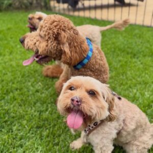 645442657_17953104498098558_3446578694139270563_n