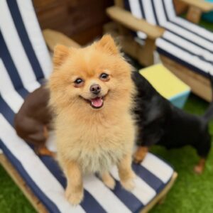 645467619_17953104462098558_5955175574031833084_n