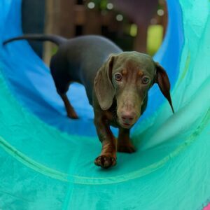 645523652_17953104063098558_9198486240014857093_n