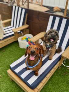 645576379_17952940209098558_4921009306961403364_n