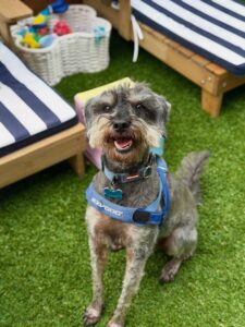 648255936_17952940197098558_7433860246604083174_n